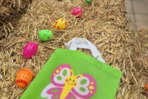 eggs and bag